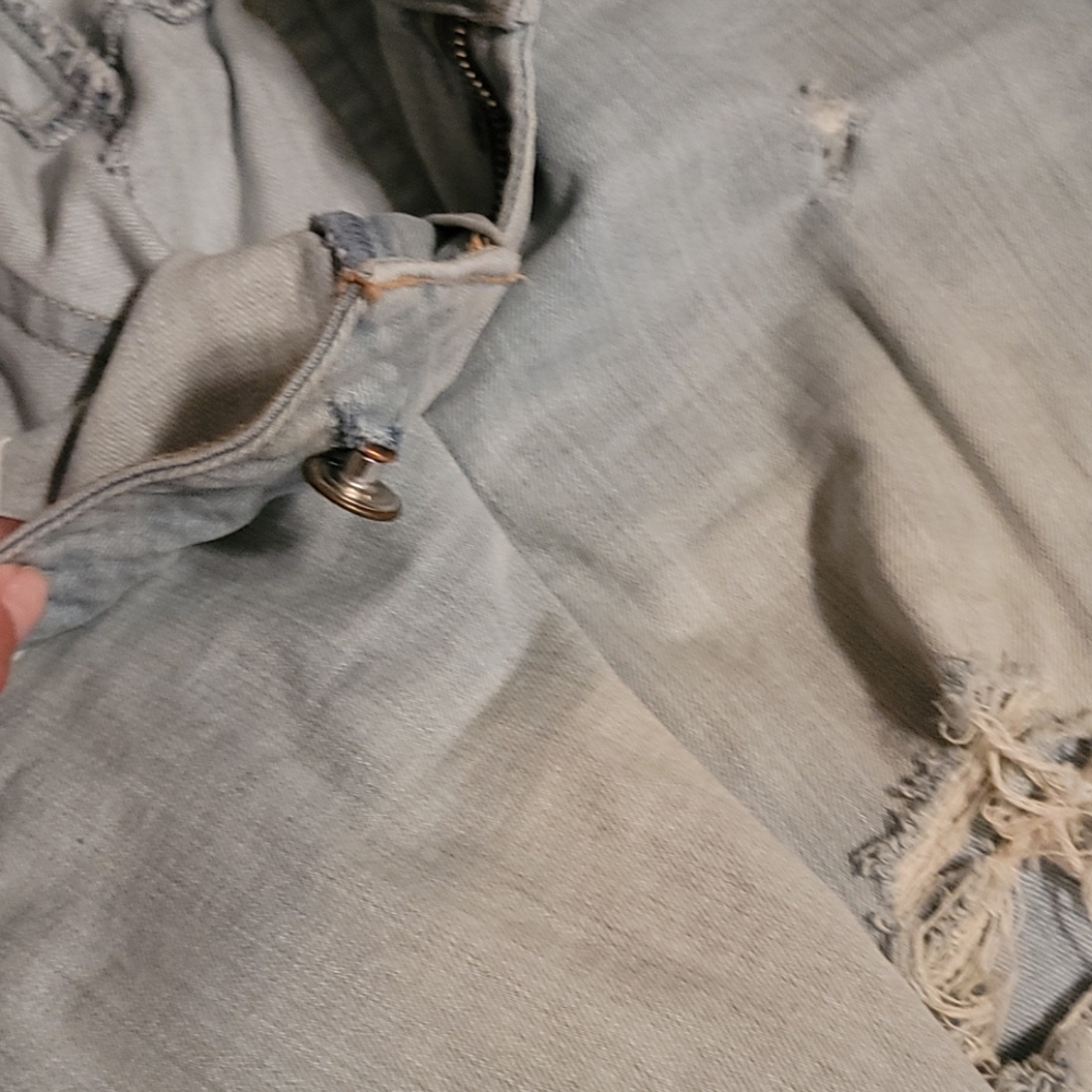 American eagle - Picture 3 of 3